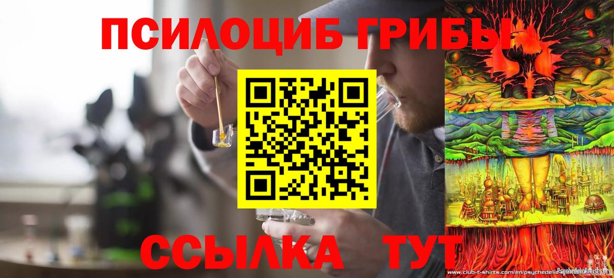 Галлюциногенные грибы Cubensis Советск