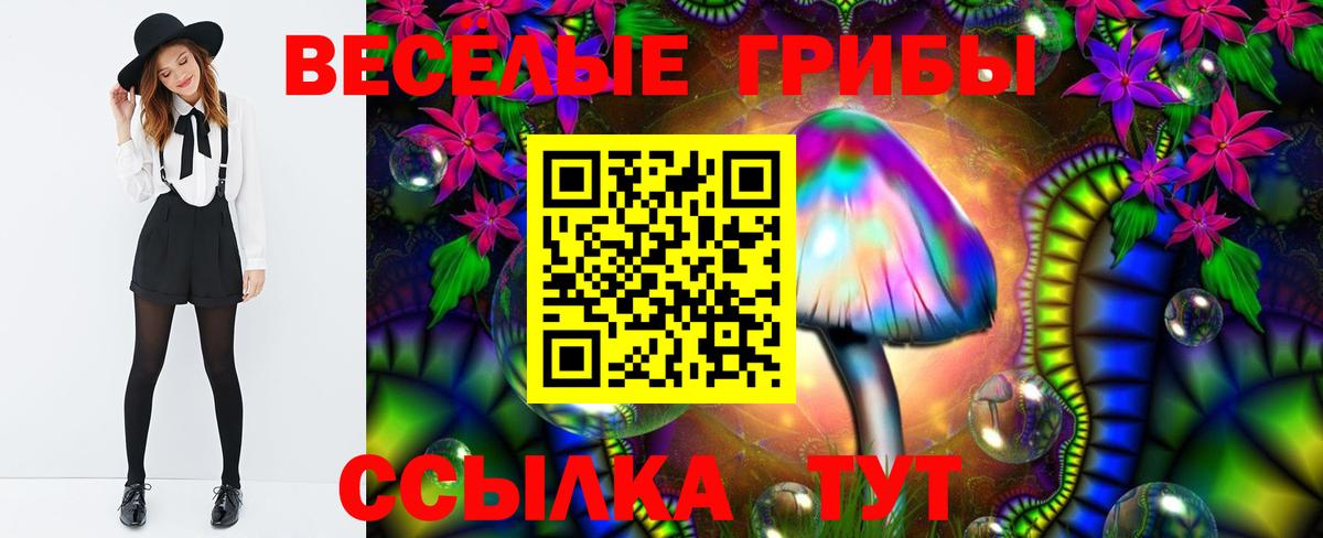 Псилоцибиновые грибы Magic Shrooms  Вход с VPN  Советск 
